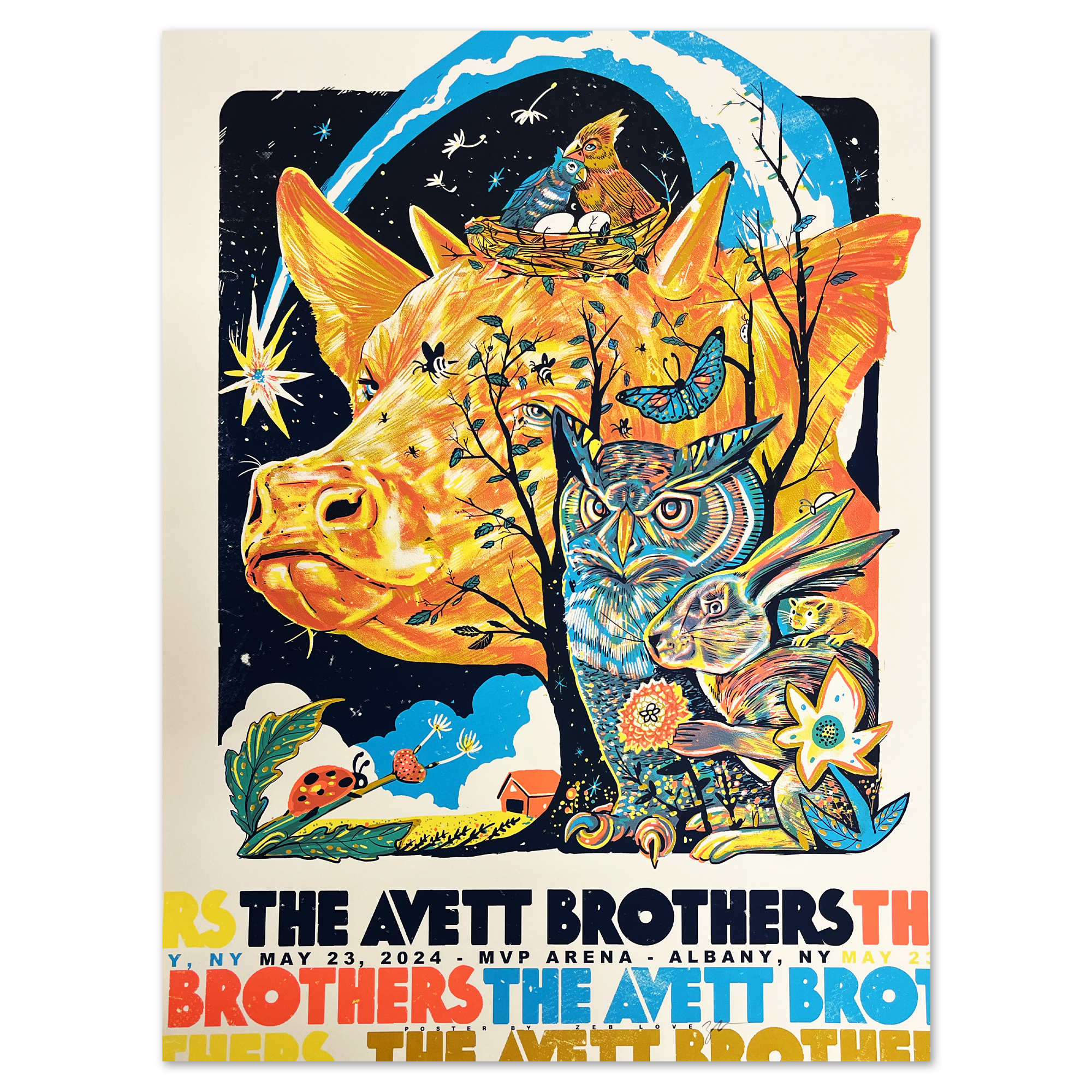 MVP Arena (5-23-24 Albany, NY) Poster – The Avett Brothers Store
